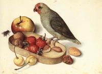 Flegel, George - Still-Life with Pygmy Parrot